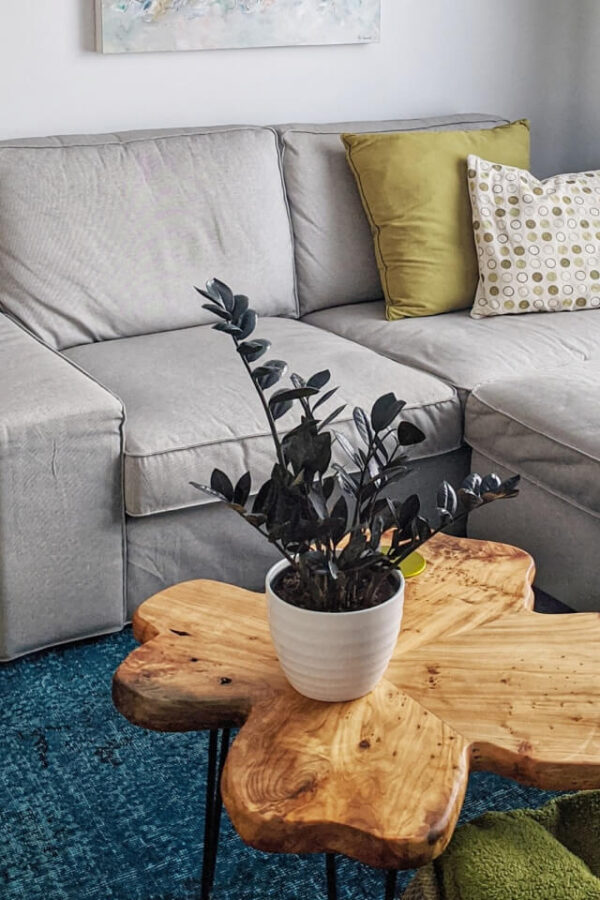 plants shop product gallery img 3 plants shop product gallery img 3